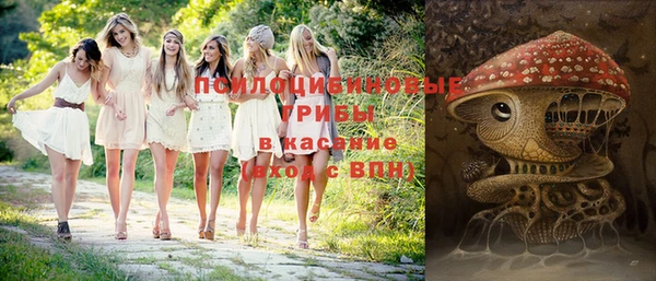 твердый Каменск-Шахтинский