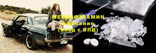 прущие грибы Абинск