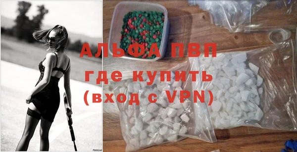 прущие грибы Абинск