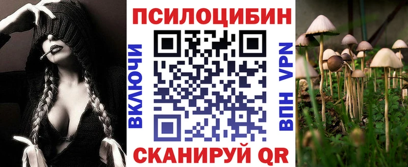 наркотики  Красновишерск  Псилоцибиновые грибы мицелий 